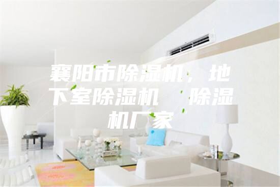 襄阳市除湿机，地下室除湿机  除湿机厂家