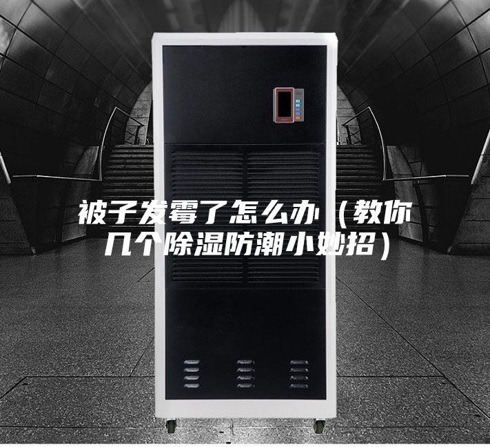 被子发霉了怎么办（教你几个除湿防潮小妙招）