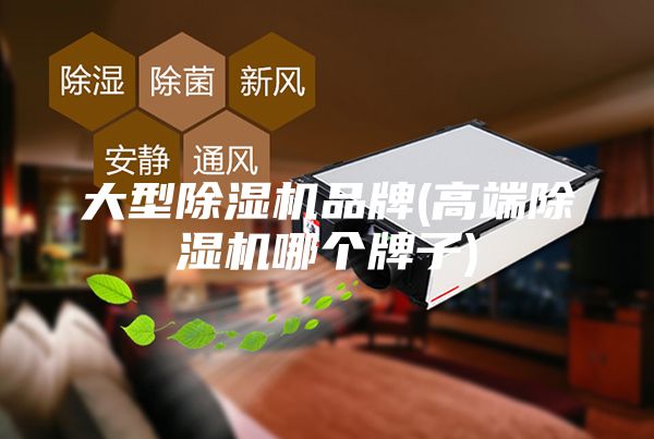 大型除湿机品牌(高端除湿机哪个牌子)