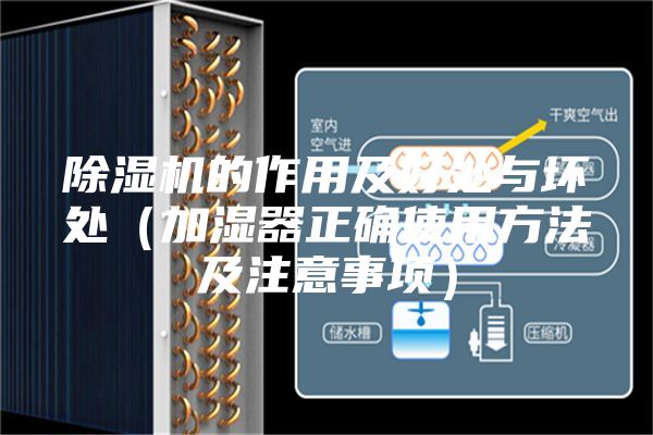 除湿机的作用及好处与坏处(加湿器正确使用方法及注意事项)