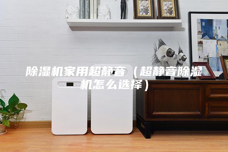 除湿机家用超静音（超静音除湿机怎么选择）