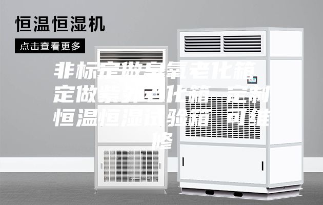 非标定做臭氧老化箱 定做紫外老化箱 定制恒温恒湿试验箱 可维修