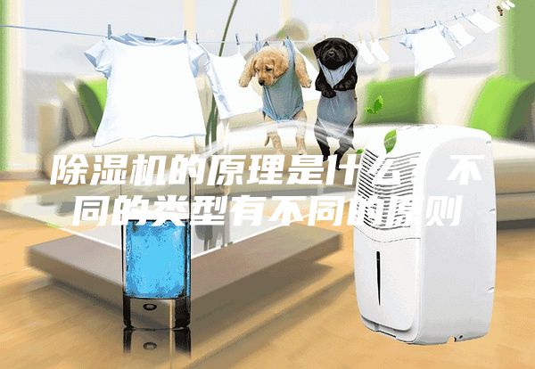 除湿机的原理是什么？不同的类型有不同的原则