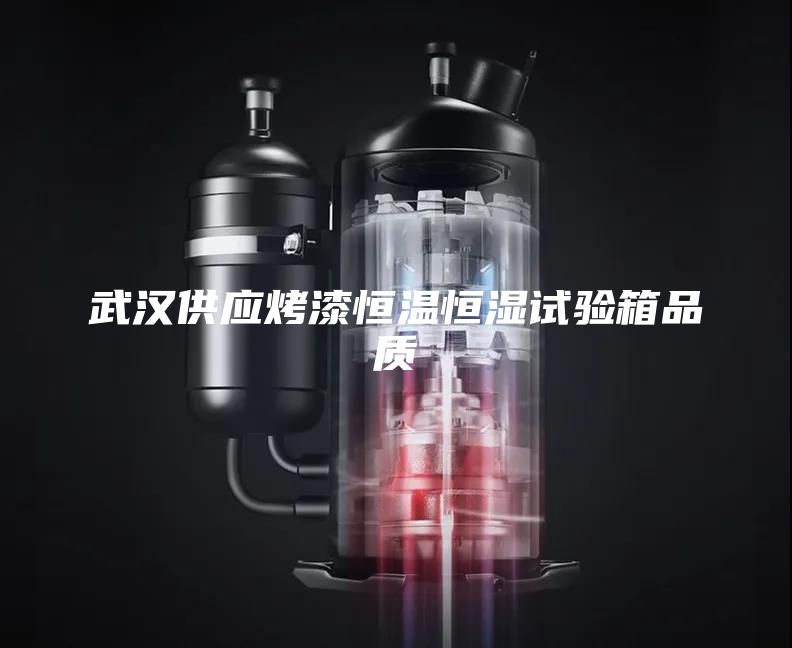 武汉供应烤漆恒温恒湿试验箱品质