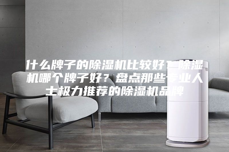 什么牌子的除湿机比较好？除湿机哪个牌子好？盘点那些专业人士极力推荐的除湿机品牌