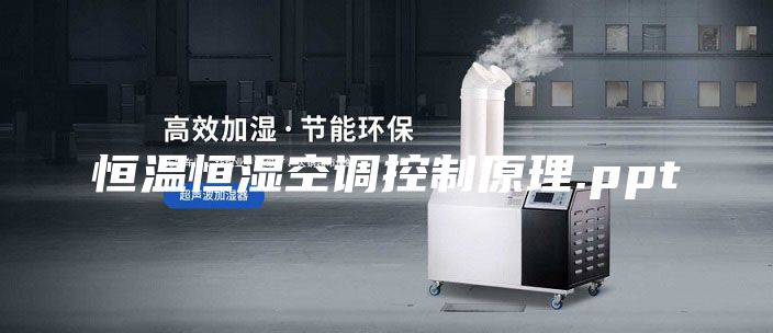 恒温恒湿空调控制原理.ppt