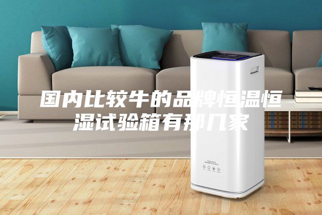 国内比较牛的品牌恒温恒湿试验箱有那几家
