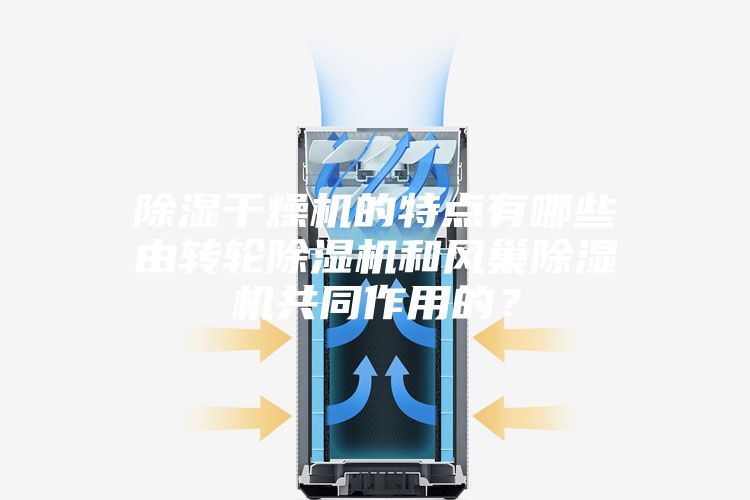 除湿干燥机的特点有哪些由转轮除湿机和风巢除湿机共同作用的？