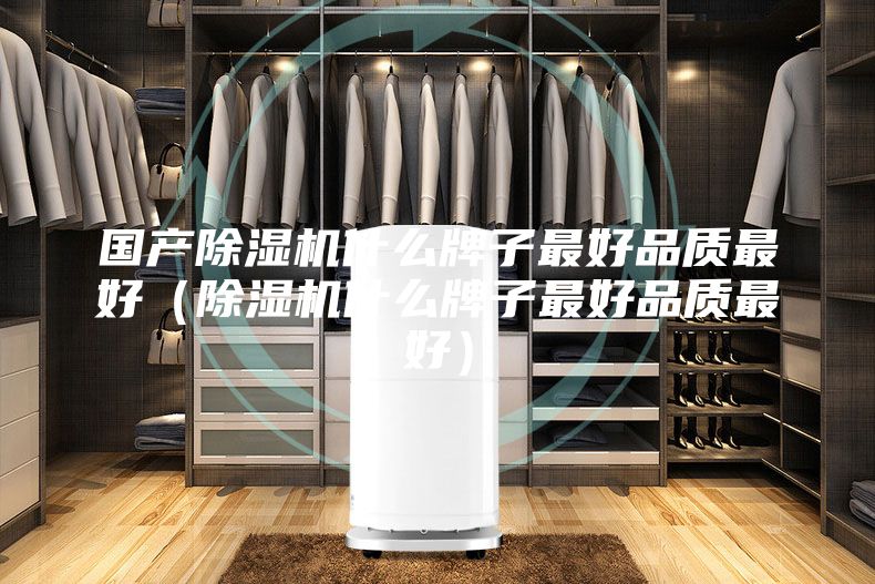 国产除湿机什么牌子最好品质最好（除湿机什么牌子最好品质最好）