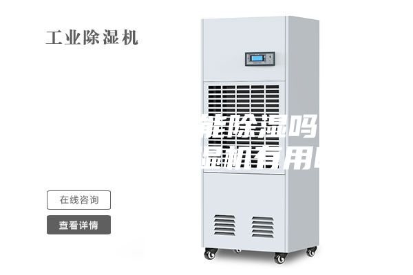 除湿机真的能除湿吗 几百块的除湿机有用吗