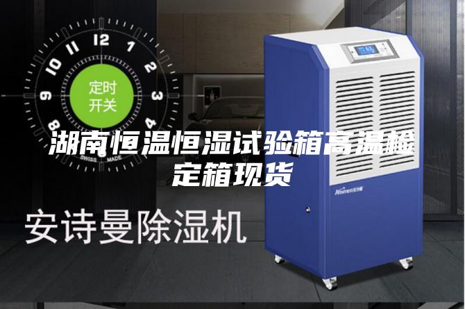 湖南恒温恒湿试验箱高温检定箱现货