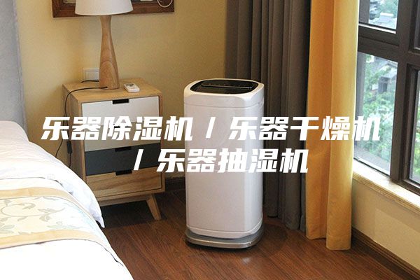 乐器除湿机／乐器干燥机／乐器抽湿机
