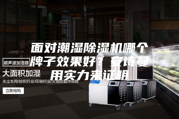 面对潮湿除湿机哪个牌子效果好？安诗曼用实力来证明
