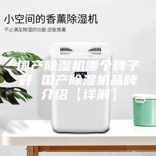 国产除湿机哪个牌子好 国产除湿机品牌介绍【详解】