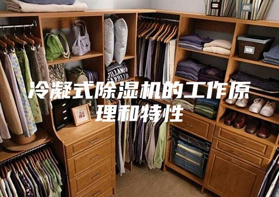 冷凝式除湿机的工作原理和特性