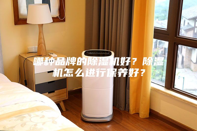 哪种品牌的除湿机好？除湿机怎么进行保养好？