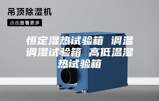 恒定湿热试验箱 调温调湿试验箱 高低温湿热试验箱