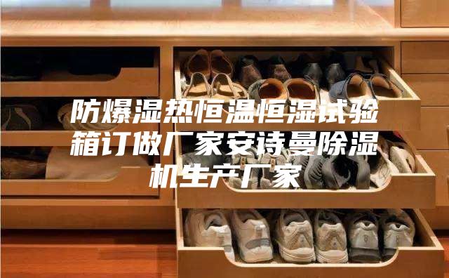 防爆湿热恒温恒湿试验箱订做厂家安诗曼除湿机生产厂家