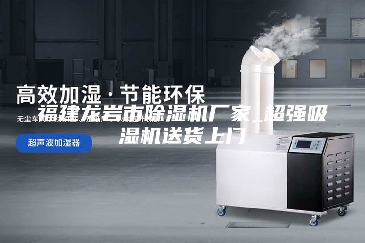 福建龙岩市除湿机厂家_超强吸湿机送货上门