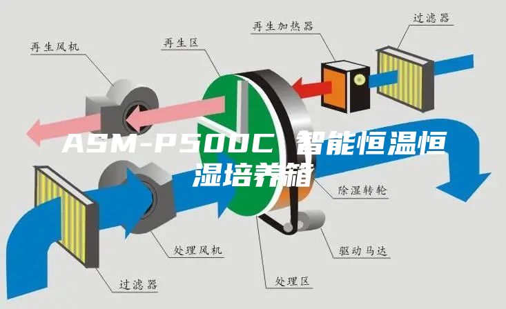 ASM-P500C 智能恒温恒湿培养箱
