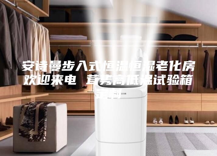 安诗曼步入式恒温恒湿老化房欢迎来电 茸隽高低温试验箱定制