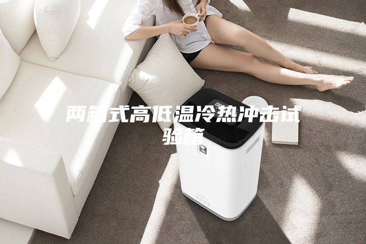 两箱式高低温冷热冲击试验箱