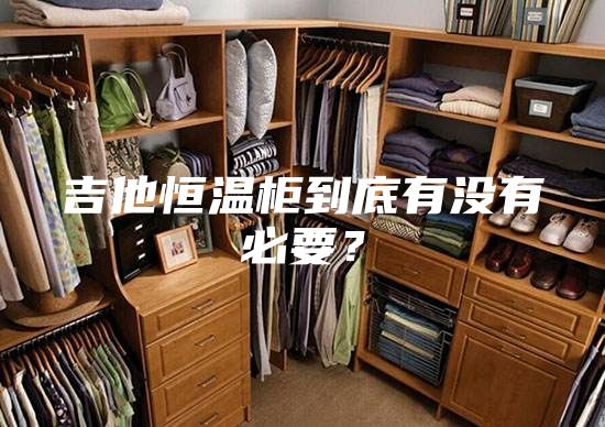 吉他恒温柜到底有没有必要？