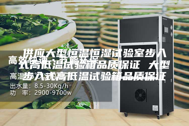 供应大型恒温恒湿试验室步入式高低温试验箱品质保证 大型步入式高低温试验箱品质保证