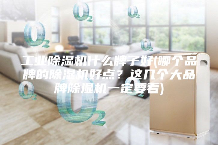 工业除湿机什么牌子好(哪个品牌的除湿机好点？这几个大品牌除湿机一定要看)