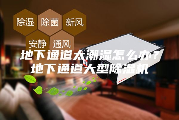 地下通道太潮湿怎么办？地下通道大型除湿机