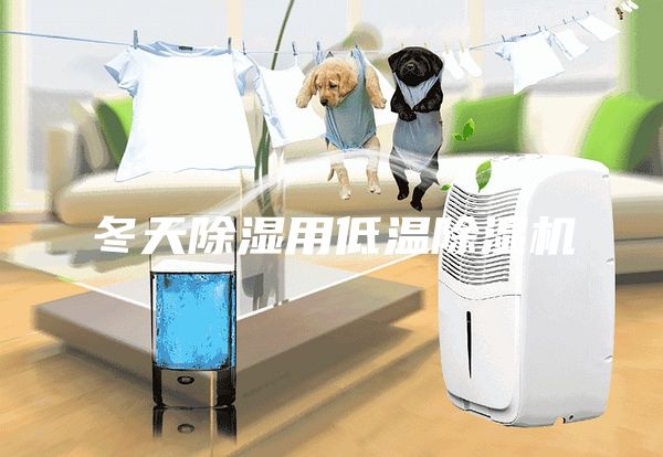 冬天除湿用低温除湿机