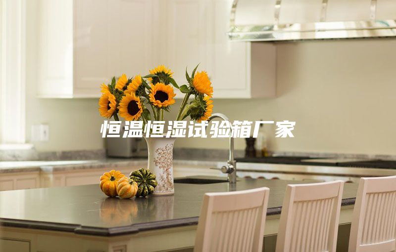 恒温恒湿试验箱厂家