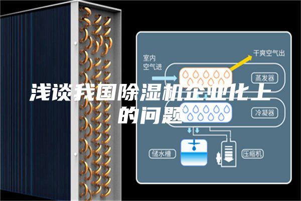 浅谈我国除湿机企业化上的问题