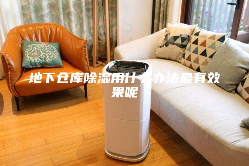 地下仓库除湿用什么办法最有效果呢