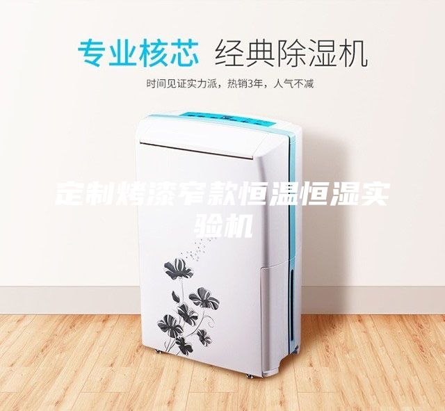 定制烤漆窄款恒温恒湿实验机