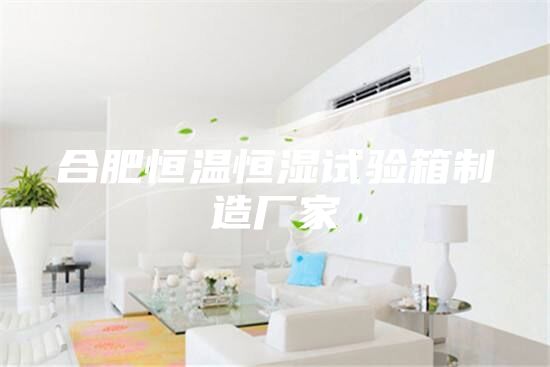 合肥恒温恒湿试验箱制造厂家