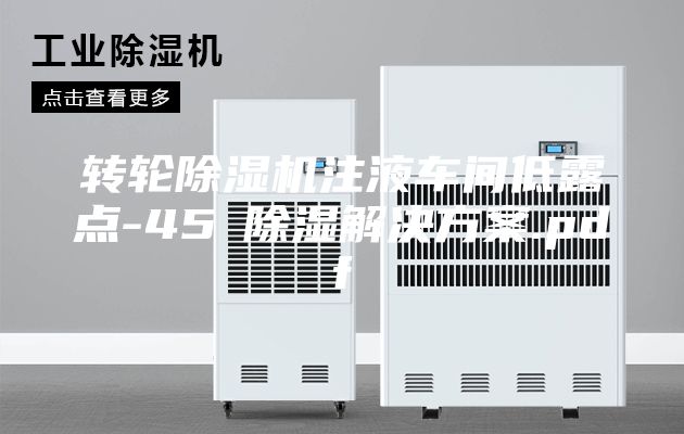 转轮除湿机注液车间低露点-45℃除湿解决方案.pdf