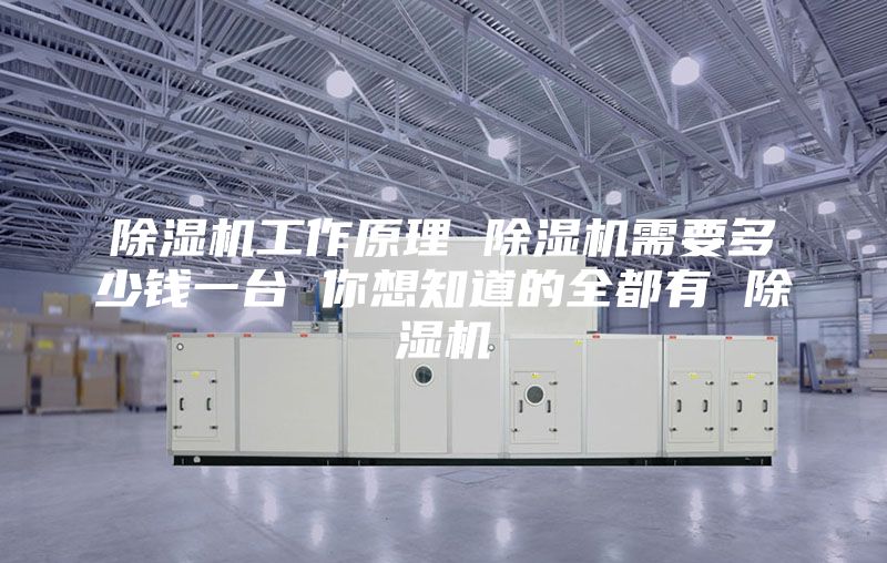 除湿机工作原理 除湿机需要多少钱一台 你想知道的全都有 除湿机
