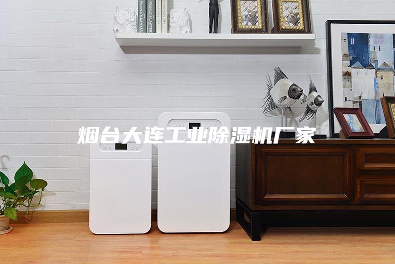 烟台大连工业除湿机厂家