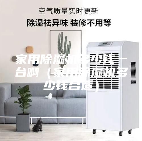 家用除湿机多少钱一台啊（家用除湿机多少钱合适）