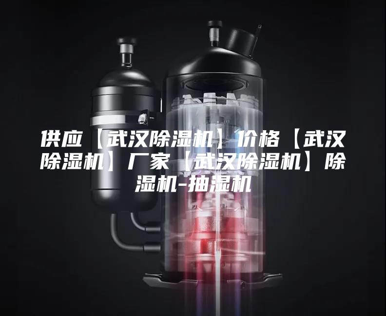 供应【武汉除湿机】价格【武汉除湿机】厂家【武汉除湿机】除湿机-抽湿机