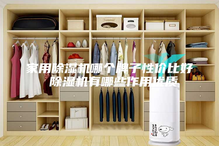 家用除湿机哪个牌子性价比好 除湿机有哪些作用优质