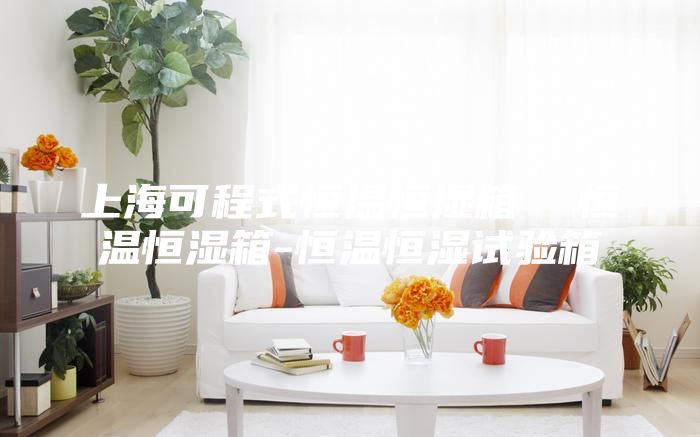 上海可程式恒温恒湿箱  恒温恒湿箱-恒温恒湿试验箱