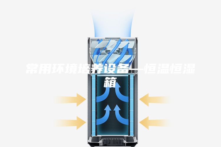 常用环境培养设备—恒温恒湿箱