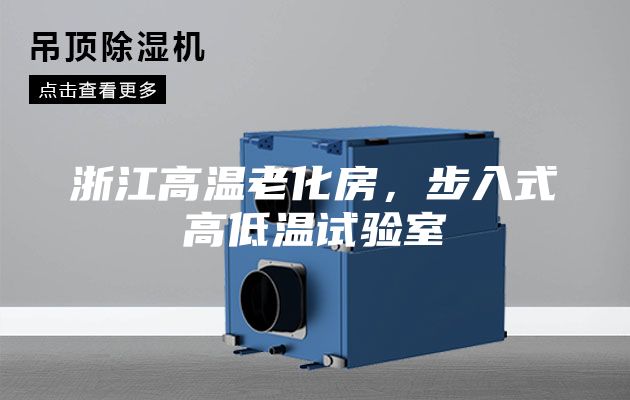 浙江高温老化房，步入式高低温试验室