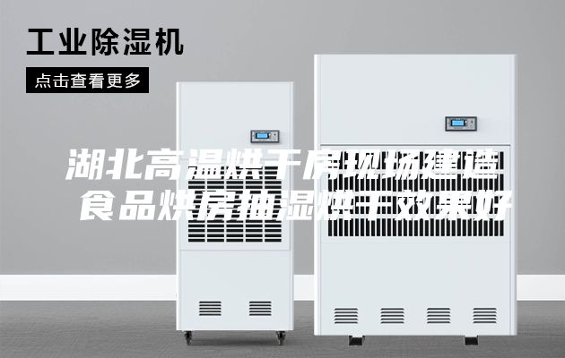 湖北高温烘干房现场建造 食品烘房抽湿烘干效果好