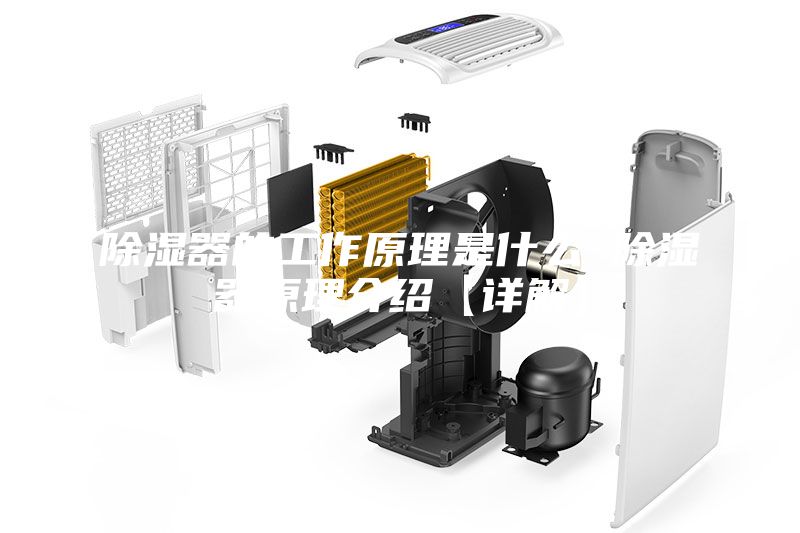 除湿器的工作原理是什么 除湿器原理介绍【详解】