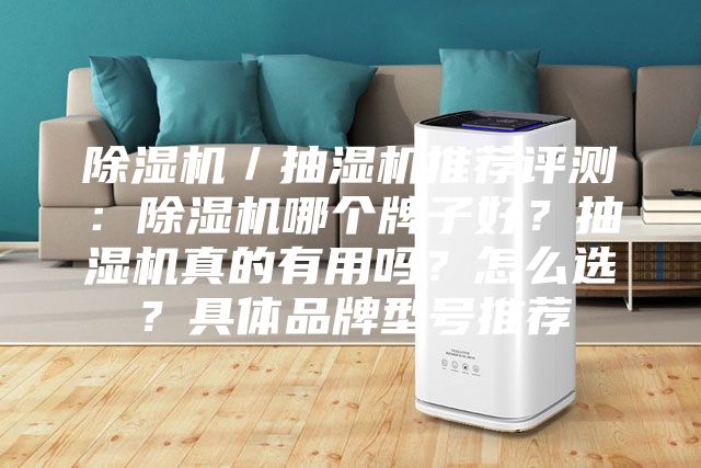 除湿机／抽湿机推荐评测：除湿机哪个牌子好？抽湿机真的有用吗？怎么选？具体品牌型号推荐