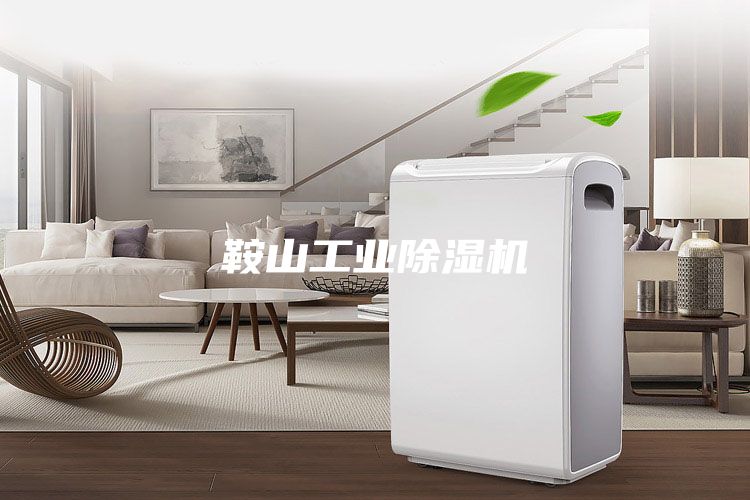 鞍山工业除湿机