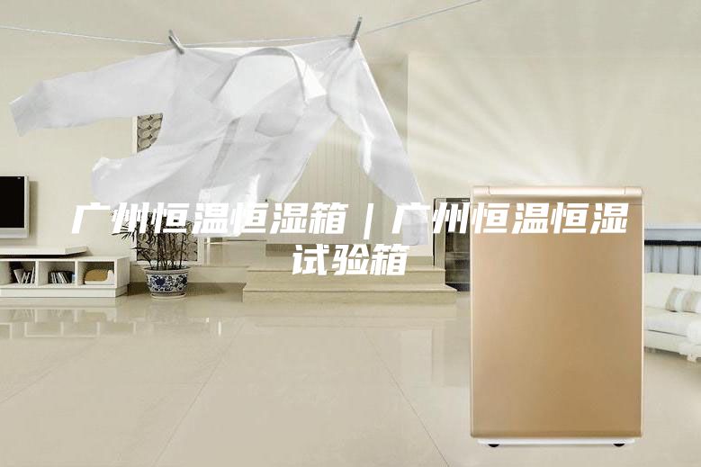 广州恒温恒湿箱｜广州恒温恒湿试验箱
